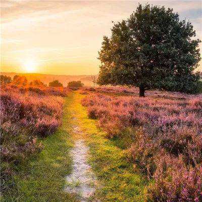 welcome新皇冠手机app下载